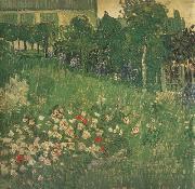 Vincent Van Gogh Daubigny's Garden (nn04) USA oil painting artist